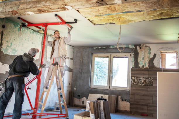 Best Professional Insulation Contractor  in Shiner, TX