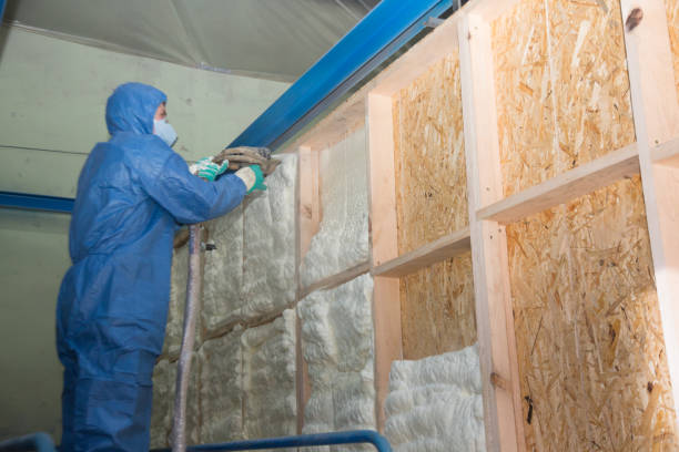 Best Insulation Repair Services  in Shiner, TX